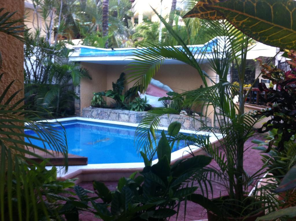 Vista Caribe Diving Resort Playa Del Carmen Exteriör bild